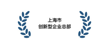 Shanghai Innovative Headquarters（上海市创新型企业总部）