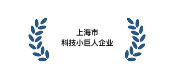 Shanghai Science and Technology Little Giant（上海市科技小巨人（含培育）企业）
