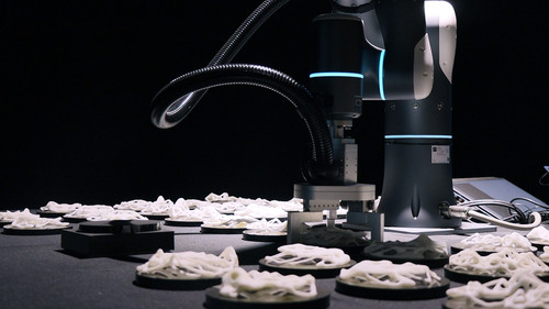 Avant Garde Art Installation Xenoforms