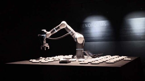 装置艺术 Xenoforms
